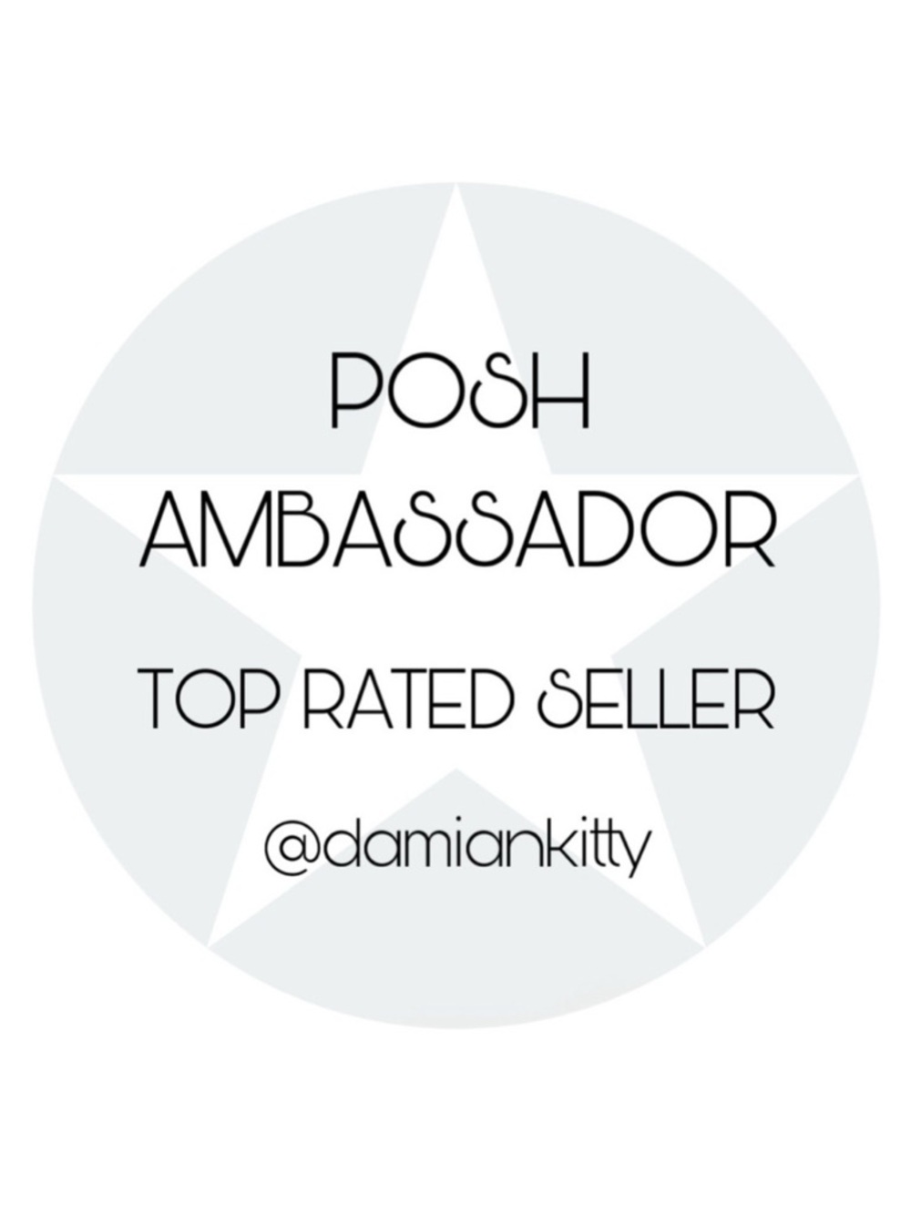 💫🌟✨ Posh Ambassador! ✨🌟💫